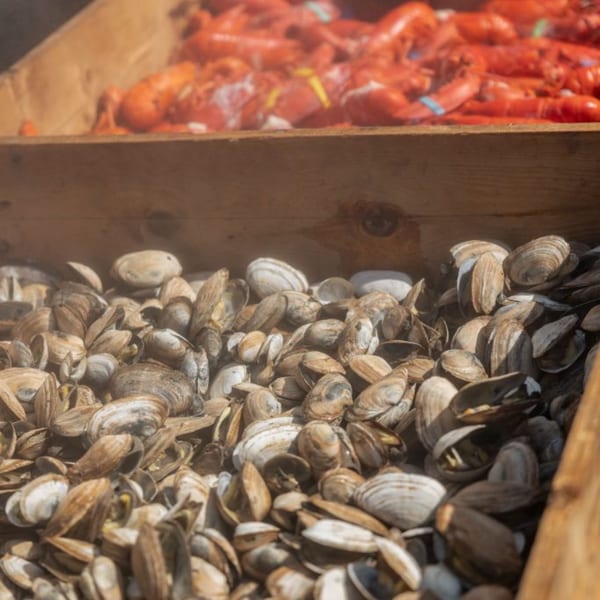 Steaming clams in the foreground, with cooked red lobsters visible in a wooden crate behind.